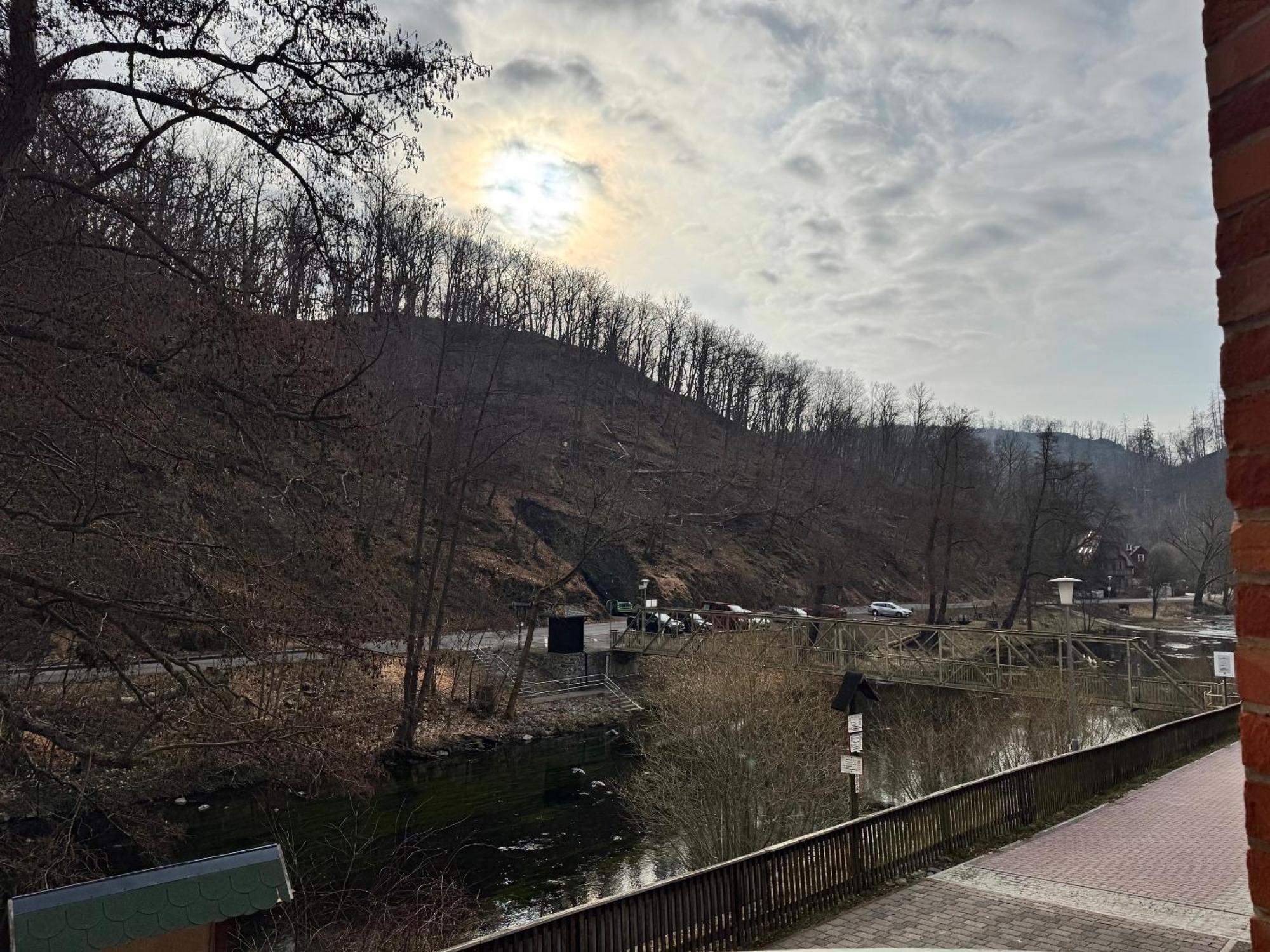 Hotel Bodeblick Thale Bagian luar foto